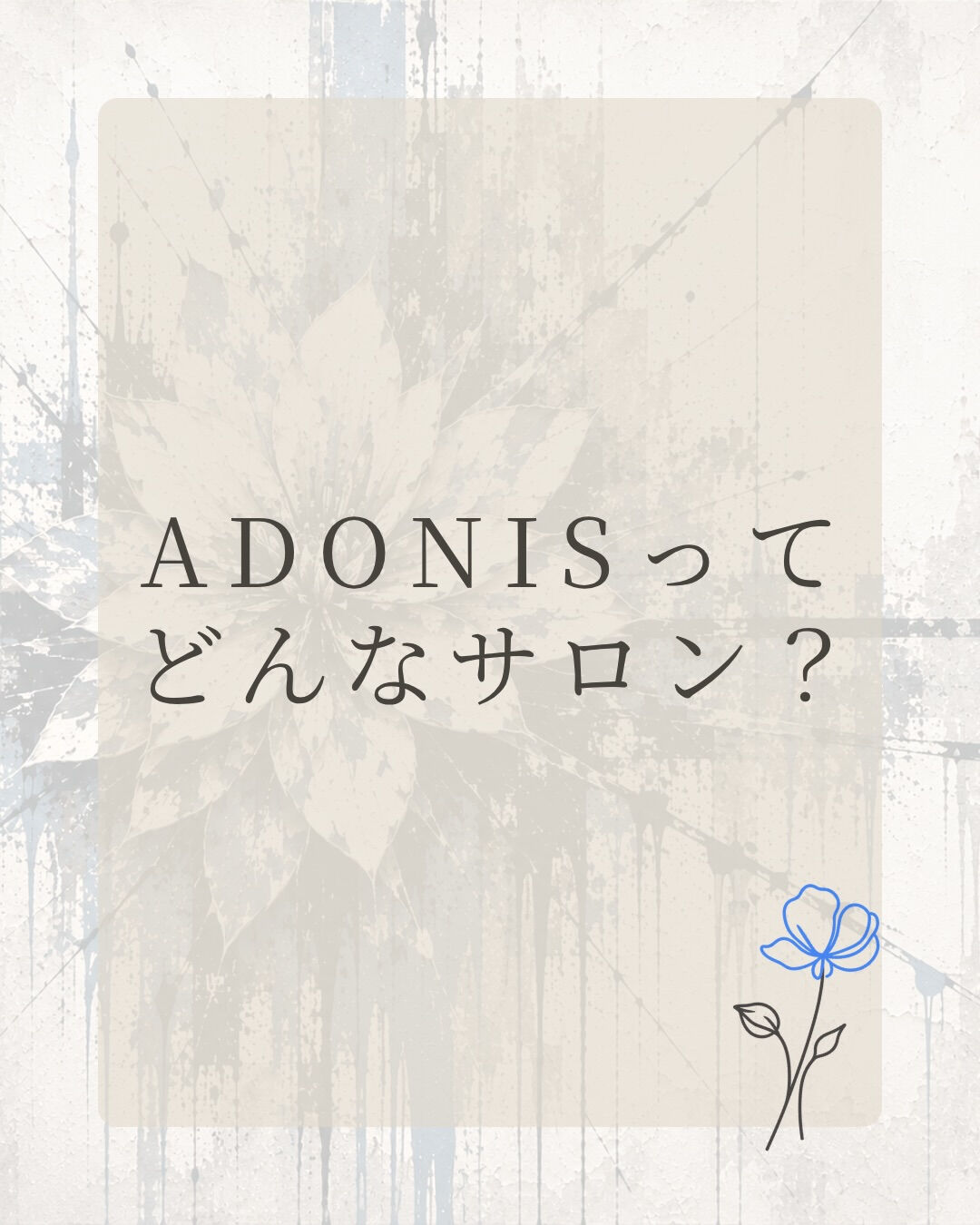 ADONISって、どんなサロン？